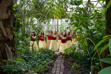 Алоха! Мы любим безумно и танцуем танцы гавайские (плавные, медленные, женственные) и танцы таитянские (быстрые, озорные, радостные)! 
Мы с удовольствием выступим на вашем мероприятии и создадим нужную атмосферу: спокойную и камерную либо веселое и озорное :)  Для гостей обязательно проведем мастер-класс, расскажем удивительные истории и познакомим с миром прекрасной Полинезии.