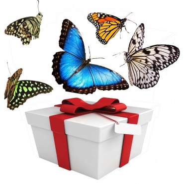 Мини салют из пяти крупных живых тропических бабочек в подарочной коробочке. Виды живых бабочек - по согласованию. Бабочки олицетворяют наши сокровенные мечты. Кому же не хочется быть красивым, свободным, окрыленным счастьем! Они напоминают нам: жизнь быстротечна - зачем же тратить ее на уныние? Принимайте каждый день как подарок, радуйтесь и дарите радость другим. Наслаждайтесь красотой! 