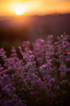 Ірина Ваганова - Съемка детского Дня Рождения