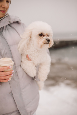 ## Фотосесія тварин у Києві: Збережіть щирі емоції ваших улюбленців з Іриною Вагановою

Наші домашні улюбленці — це не просто тварини, це повноцінні члени родини, які дарують нам беззастережну любов, радість та підтримку. Вони ростуть і змінюються так само швидко, як і діти, і кожен етап їхнього життя вартий того, щоб бути зафіксованим у якісних кадрах. **Фотосесія тварин** — це особливий жанр, що вимагає не лише майстерності фотографа, а й величезного терпіння, любові та розуміння психології чотирилапих моделей.

Я, Ірина Ваганова, пропоную професійну зйомку домашніх улюбленців у Києві. Моє завдання — впіймати унікальний характер вашого пухнастого друга: від грайливого погляду до спокійного, величного портрета.

### Чому варто замовити професійну зйомку для вашого улюбленця?

Ми часто фотографуємо своїх котів чи собак на телефон, але **професійна фотосесія собак** або котів має свої переваги:

1. **Вміння ловити момент.** Тварини не вміють позувати за командою (навіть найслухняніші). Я володію технікою репортажної зйомки, що дозволяє фіксувати динамічні кадри у високій якості: біг, стрибки, гру з улюбленою іграшкою.
2. **Робота зі світлом та ракурсом.** Фотографувати тварин потрібно з рівня їхніх очей, щоб передати їхній світ. Я використовую професійну техніку, яка дозволяє отримати чіткі знімки навіть у найактивніші моменти.
3. **Емоційний зв'язок.** Я завжди виділяю час на те, щоб тварина звикла до мене та до камери. Тільки так можна отримати кадри, де улюбленець виглядає розслабленим і щасливим.

### Формати анімалістичної зйомки

Залежно від характеру вашої тварини та ваших побажань, ми можемо обрати один із форматів:

* **Зйомка на природі (Outdoor).** Ідеально для активних собак. Парки, лісові стежки або міські локації Києва стануть чудовим фоном для енергійних та яскравих кадрів.
* **Студійна фотосесія для тварин.** Мінімалістичні фони допомагають акцентувати увагу на зовнішності улюбленця, його текстурі шерсті та виразності очей. Це формат для стильних «журнальних» портретів.
* **Домашня зйомка (Lifestyle).** Найбільш комфортний варіант для котів та полохливих собак. У звичному середовищі тварини почуваються впевнено, що дозволяє зробити дуже теплі та щирі фото.
* **Спільна фотосесія з власником.** Покажіть ваш зв'язок! Обійми, спільні прогулянки або ігри — такі кадри стануть справжнім скарбом у вашому сімейному архіві.

### Як підготуватися до фотосесії з твариною?

Щоб ваша **фотосесія з собакою (Київ)** або котом пройшла успішно, я рекомендую:

* **Прогулянка перед зйомкою.** Якщо у вас активна собака, краще трохи вигуляти її заздалегідь, щоб вона скинула зайву енергію.
* **Улюблені ласощі та іграшки.** Це найкраща мотивація! Візьміть те, заради чого ваш улюбленець готовий «працювати» на камеру.
* **Догляд.** За потреби відвідайте грумера перед зйомкою, щоб шерсть виглядала охайно та доглянуто.
* **Ваш спокій.** Тварини дуже тонко відчувають настрій власника. Будьте розслаблені, сприймайте це як розвагу, і ваш улюбленець підхопить цей настрій.

### Що ви отримаєте в результаті?

Замовляючи послугу **анімалістична зйомка** у Ірини Ваганової, ви отримуєте:

* Консультацію щодо вибору локації та часу зйомки.
* Авторську обробку всіх вдалих кадрів.
* Ретуш кращих портретів улюбленця.
* Готові фото через зручну онлайн-галерею.

Наші улюбленці з нами не назавжди, але пам'ять про них може жити вічно у професійних знімках. Подаруйте собі радість споглядання цих щирих моментів!

Готові зробити зі свого пухнастика зірку? Напишіть мені, і ми створимо незабутню фотоісторію про вашого найкращого друга!
