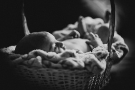 Вадим - Фотограф