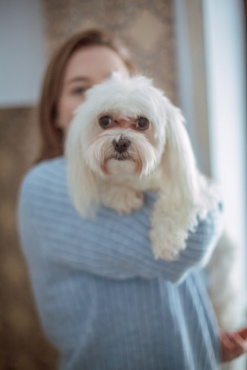 Ірина Ваганова - Фотосессия животных