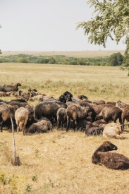 Віталій  - Фотограф