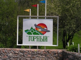 Дана Тулей - Художник
