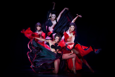 Мы – уникальный танцевальный проект, созданный в Украине.
Каждое выступление шоу балета NC-17 – это рассказ, своего рода спектакль о многогранном мире женских чувств и эмоций. Утонченная пластика, обаяние, желание 
экспериментировать с образами и хореографическими стилями создают особую атмосферу нашему шоу.
Наш профессиональный подход, невероятная экспрессия и пересечение разных танцевальных стилей без сомнения очаруют Вас. В цену входит 4 выступления по 3 минуты, с разными костюмами.