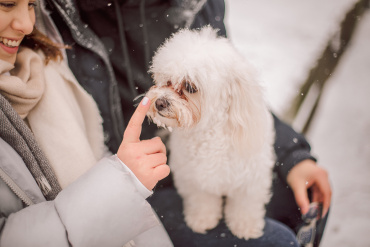 Ірина Ваганова - Фотосессия животных