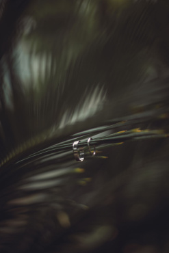 Ірина Ваганова - Свадебная съемка