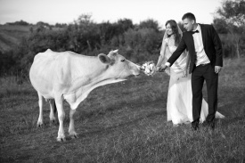 Олег Циб - Фотограф