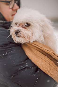 Ірина Ваганова - Фотосессия животных