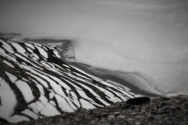 Ксенія - Фотограф