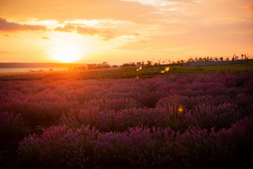 Ірина Ваганова - Съемка детского Дня Рождения