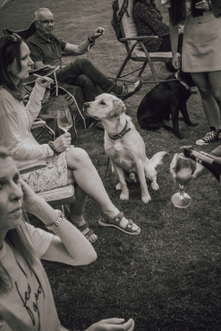 Ірина Ваганова - Репортажная съемка